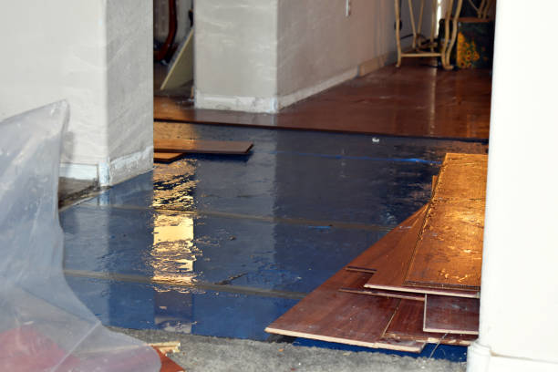 Professional Sewage Cleanup technician working in Stilesville, IN